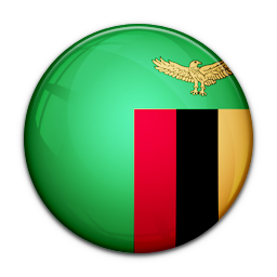 Flag Of Zambia Icon 256x256 png
